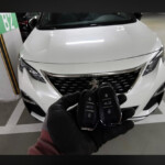 Possible Xhorse Xzpg00en Psa Smart Key Work With Peugeot